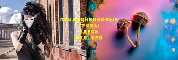 ешки Зеленодольск