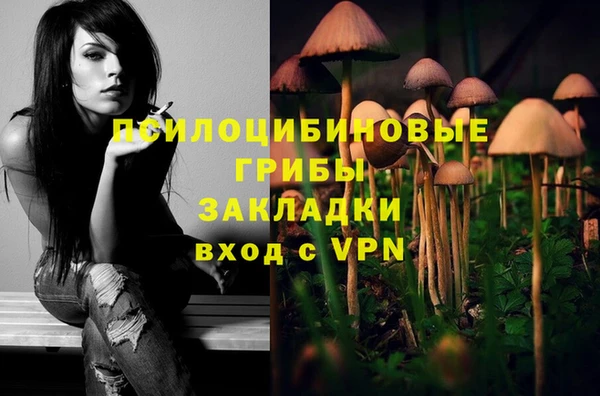 мдпв Заволжск