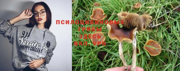 мдпв Заволжск
