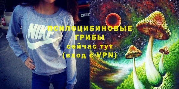мдпв Заволжск