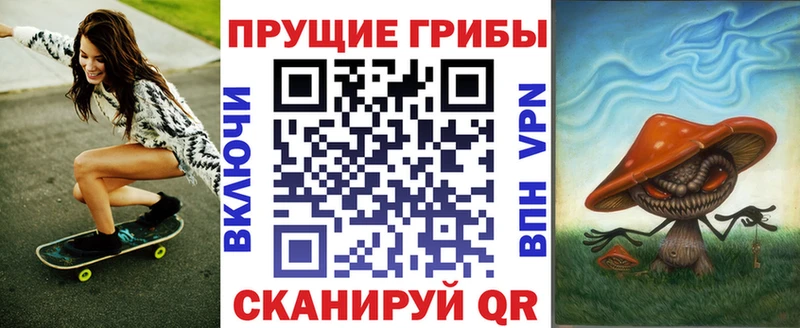 Псилоцибиновые грибы Psilocybe  Купить закладки  Катав-Ивановск 