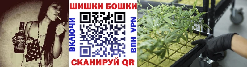 Каннабис семена  Купить где  Катав-Ивановск 